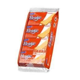 BRIDGE INDIVIDUAL AREQUIPE